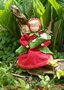 Pakket Aardbeimoeder met baby